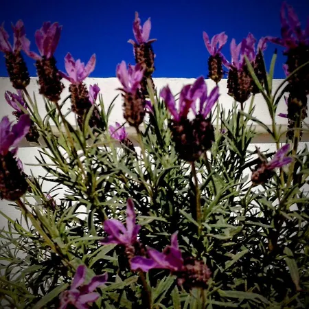 La Porta Di Mare Bed and Breakfast