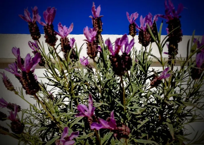 La Porta Di Mare Bed & Breakfast